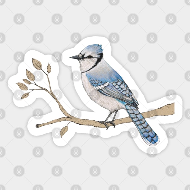 Blue jay Sticker by Bwiselizzy